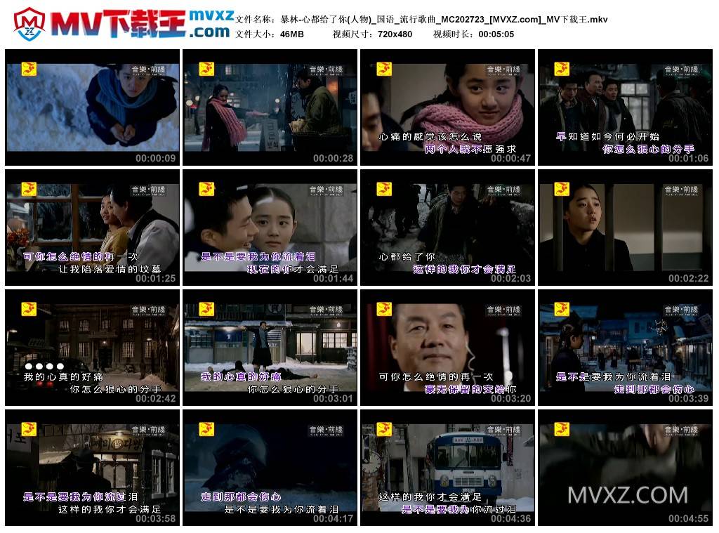 暴林-心都给了你(人物)_国语_流行歌曲_MC202723